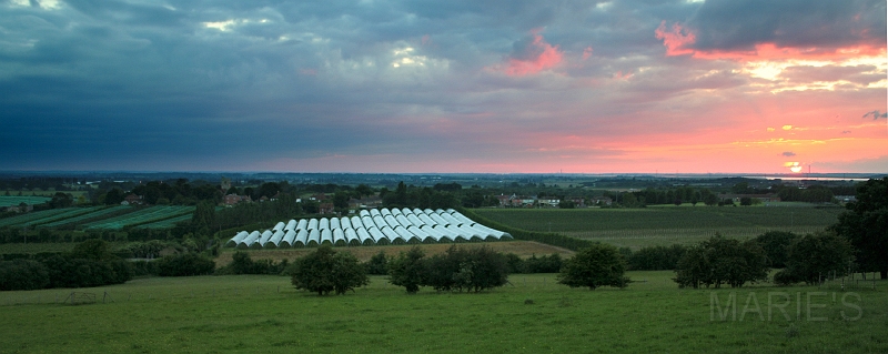 Strawberry Tunnels sunset.jpg